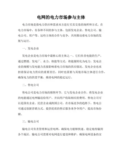 电网的电力市场参与主体