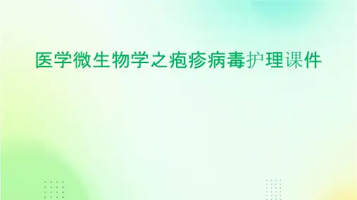 医学微生物学之疱疹病毒护理课件