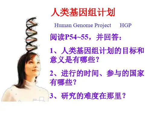 上海版八年级上册生物  2.3.1 人体的性状和遗传现象 课件   (共31张PPT)