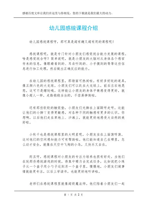 幼儿园感统课程介绍
