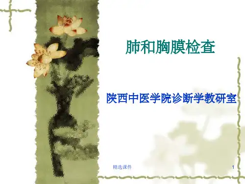 肺和胸膜ppt课件