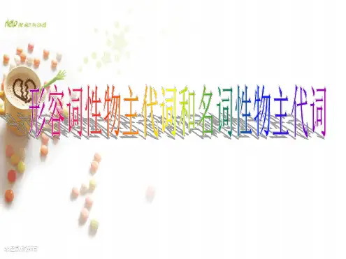 形容词性及名词性物主代词ppt课件