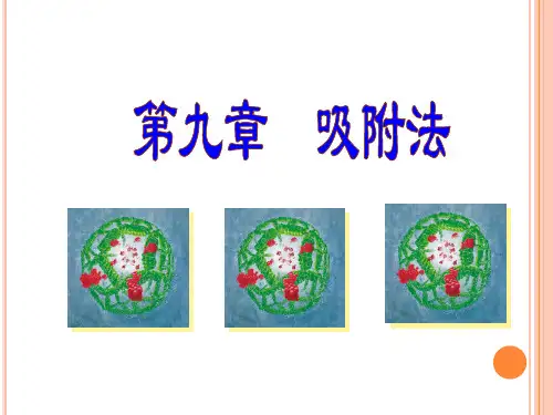 第九章吸附法