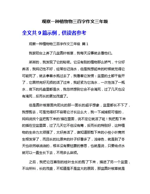 观察一种植物物三百字作文三年级