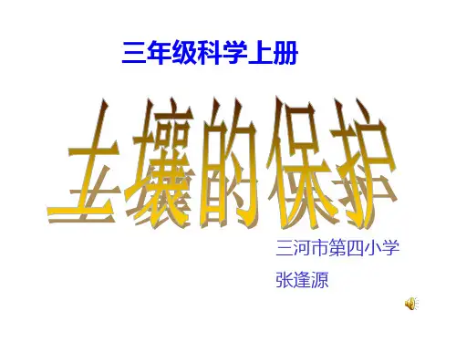 三年级上册科学课件-6《观察土壤》 ｜冀教版      (共17张PPT)