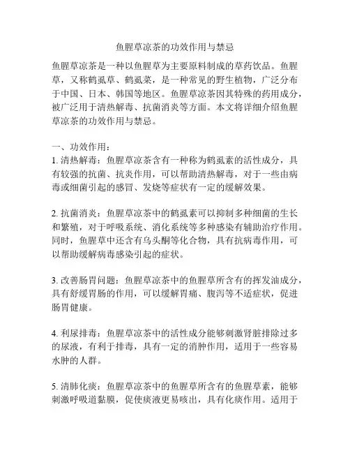 鱼腥草凉茶的功效作用与禁忌
