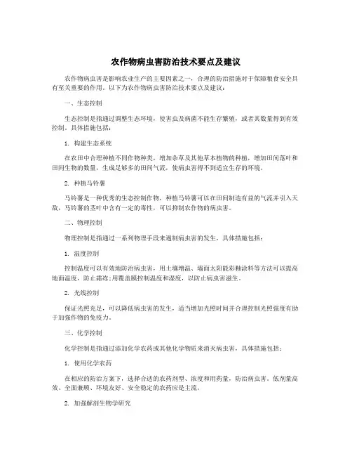 农作物病虫害防治技术要点及建议