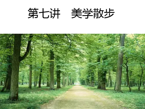 45上海大学美学原理  第七讲 美学散步PPT课件