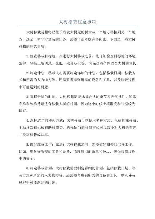 大树移栽注意事项