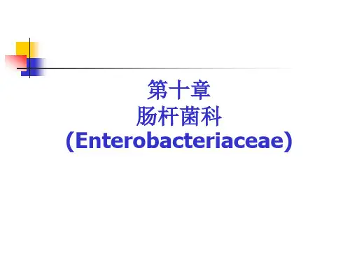 第10章 1 肠杆菌科及大肠埃希菌