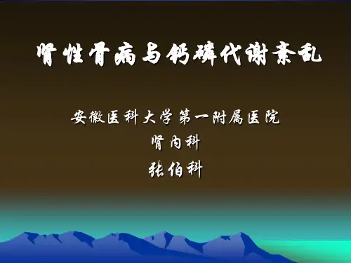 肾性骨病与钙磷代谢紊乱(医学PPT课件)