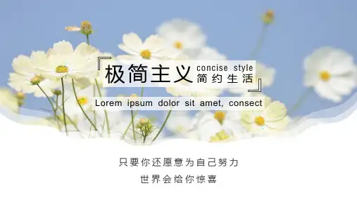 极简主义小清新简约生活PPT模板