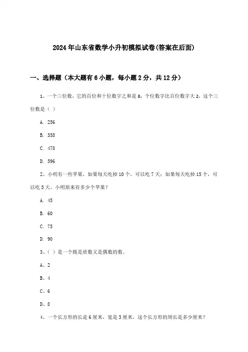 山东省数学小升初试卷与参考答案(2024年)