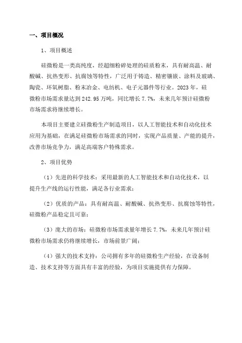 2024年硅微粉生产制造项目可研性报告