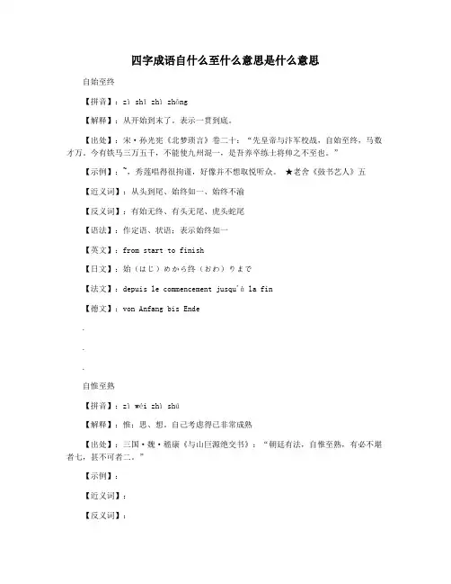 四字成语自什么至什么意思是什么意思