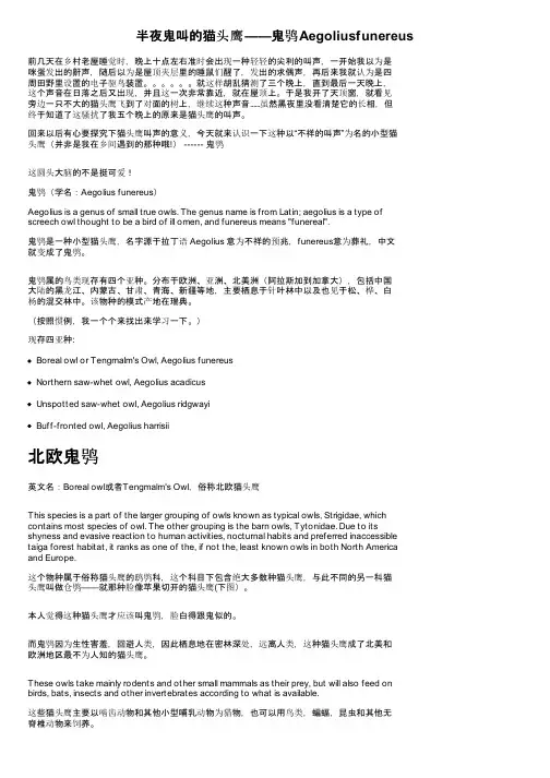 半夜鬼叫的猫头鹰——鬼鸮Aegoliusfunereus