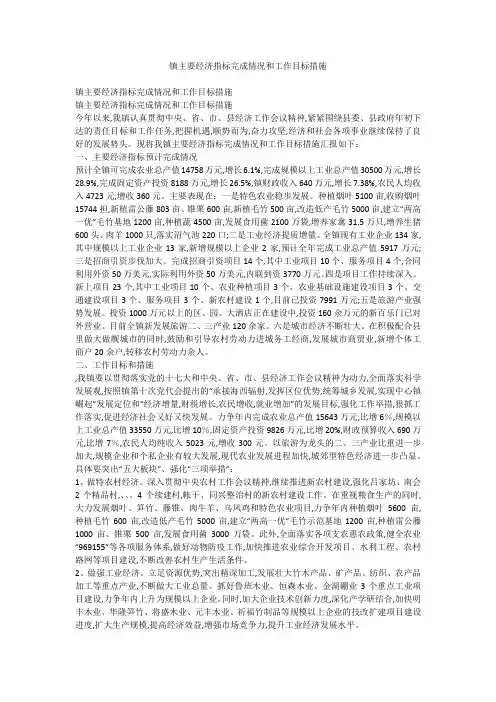 镇主要经济指标完成情况和工作目标措施