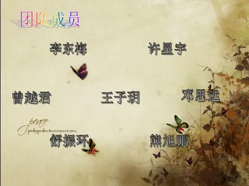 管理学课程展示沃尔玛34页PPT