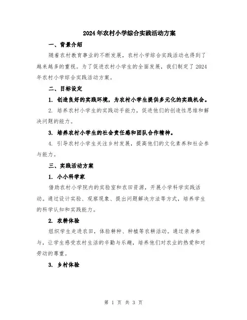2024年农村小学综合实践活动方案