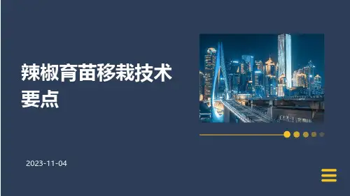 辣椒育苗移栽技术要点
