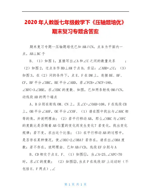 2020年人教版七年级数学下《压轴题培优》期末复习专题含答案