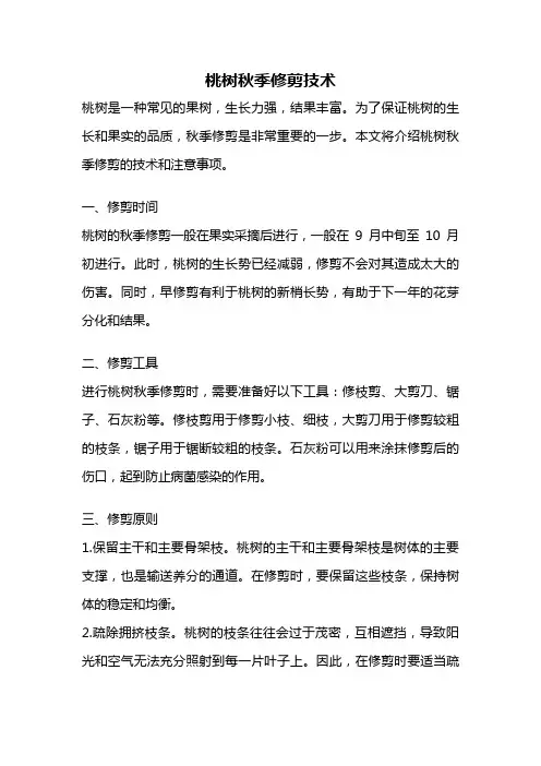 桃树秋季修剪技术