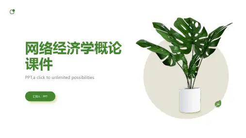 网络经济学概论课件