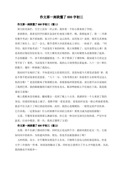 作文那一刻我懂了600字初三