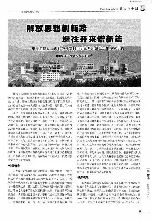 解放思想创新路 继往开来谱新篇——攀枝花钒钛资源综合开发利用示范基地建设迈出坚实步伐