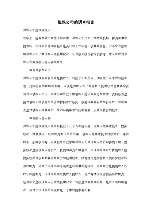 担保公司的调查报告