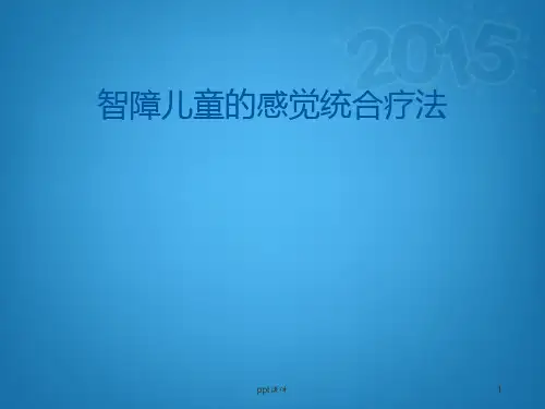 智障儿童的感觉统合疗法  ppt课件