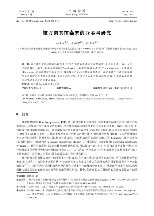 镰刀菌真菌毒素的分类与研究