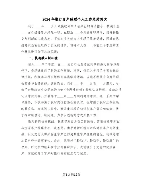 2024年银行客户经理个人工作总结例文（7篇）