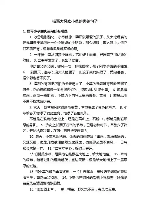 描写大风吹小草的优美句子