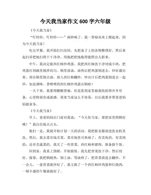 今天我当家作文600字六年级