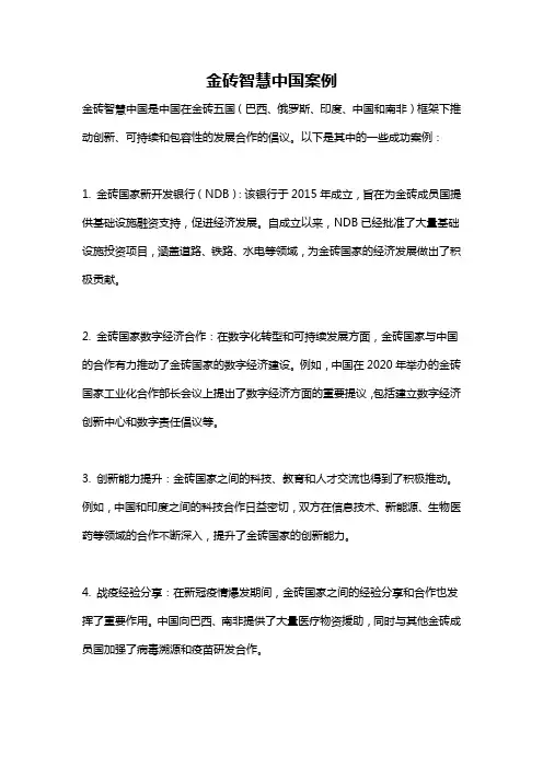 金砖智慧中国案例