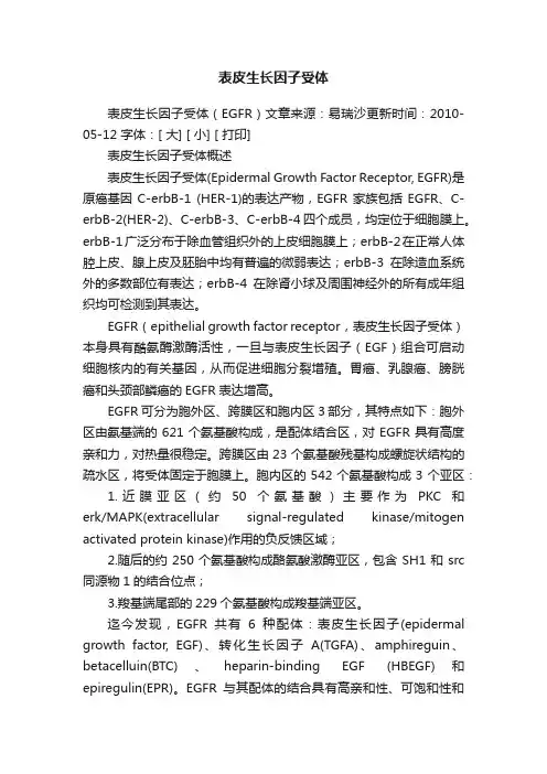 表皮生长因子受体
