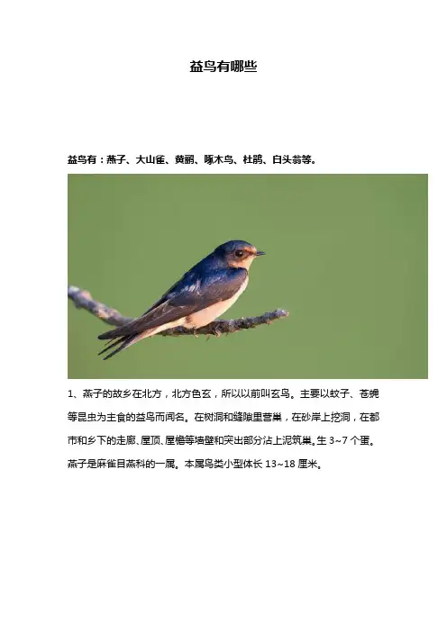 益鸟有哪些