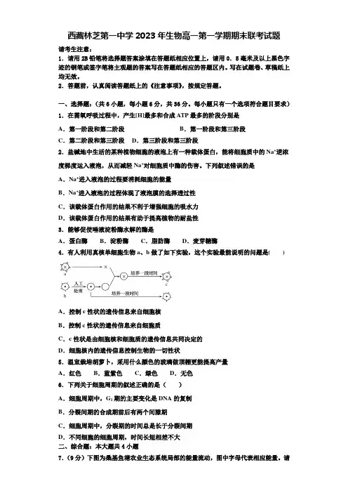 西藏林芝第一中学2023年生物高一第一学期期末联考试题含解析