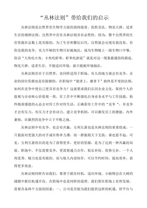 丛林法则