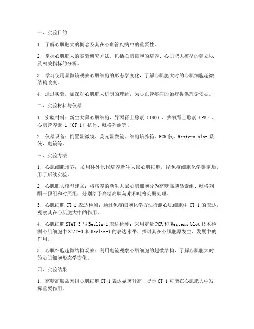 心肌肥大实验实训报告