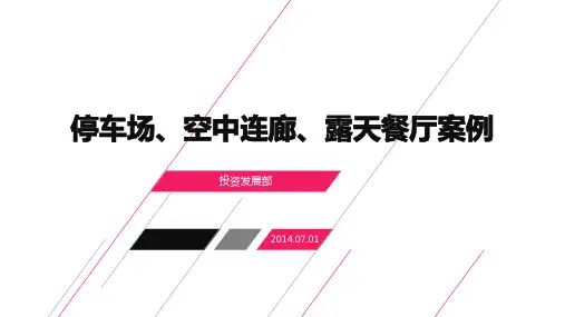 停车场案例 屋顶利用-20140702