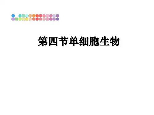 最新第四节单细胞生物课件ppt