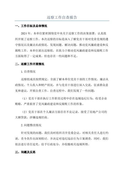 巡察工作自查报告