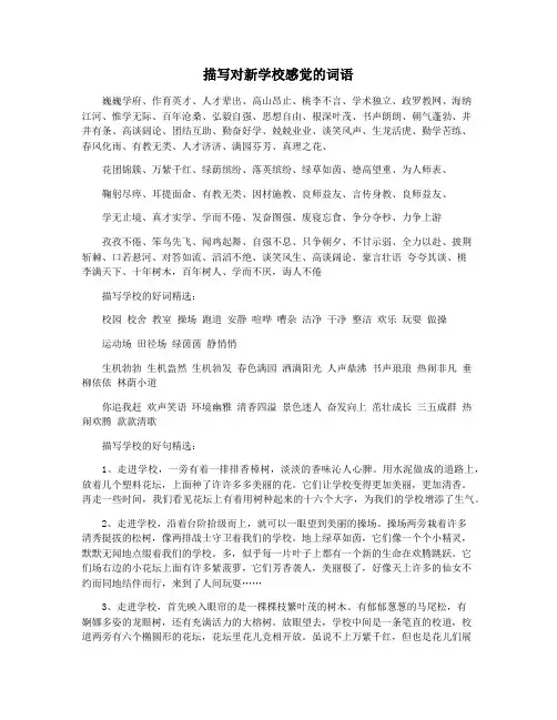 描写对新学校感觉的词语