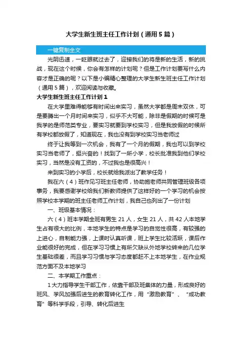 大学生新生班主任工作计划（通用5篇）