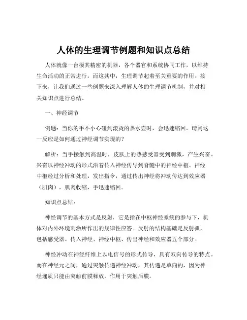 人体的生理调节例题和知识点总结