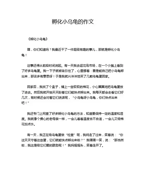 孵化小乌龟的作文