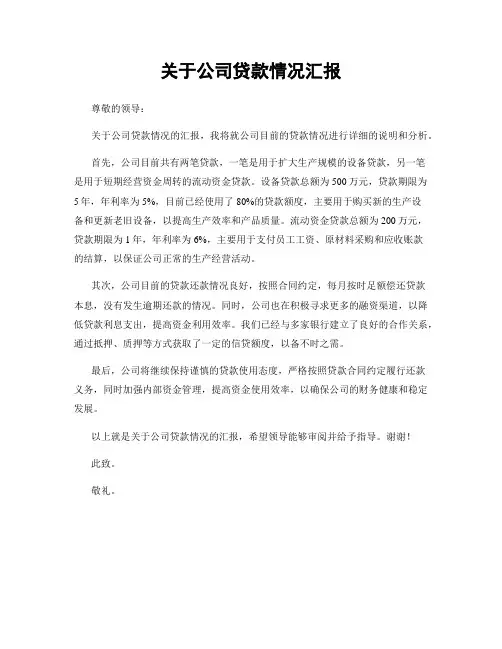 关于公司贷款情况汇报