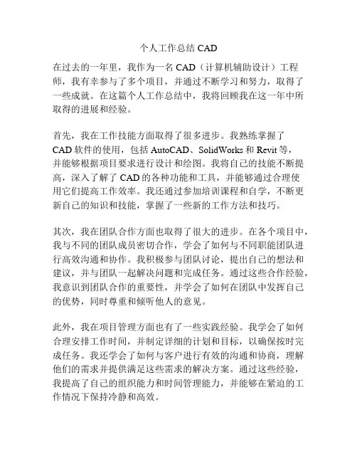 个人工作总结CAD
